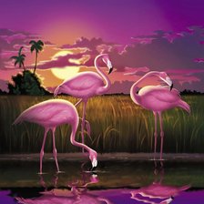 Схема вышивки «Розовый фламинго»