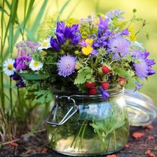 полевые цветы 2