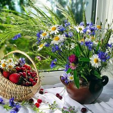 Схема вышивки «полевые цветы 4»