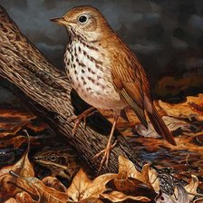 Схема вышивки «№2613822»