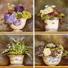 Горшки с цветами