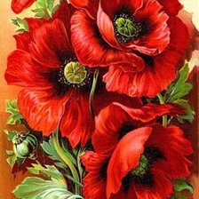 Схема вышивки «Маки»