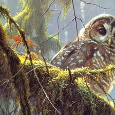 Схема вышивки «Совенок на ветке»