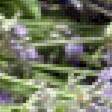 Предпросмотр схемы вышивки «лаванда в корзине» (№2614186)