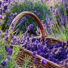 Схема вышивки «лаванда корзина»