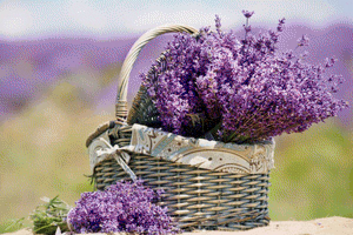 Корзинка цветов - лаванда, корзинка, цветы - предпросмотр