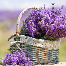 Схема вышивки «Корзинка цветов»