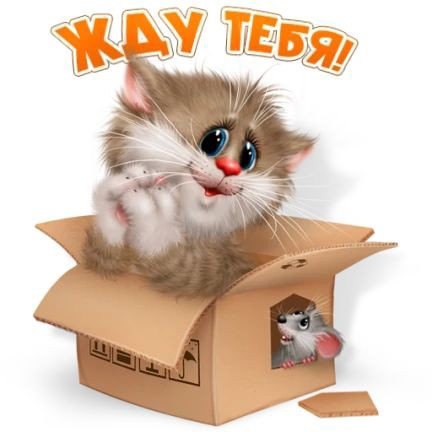 Дружба - мышь, кот - оригинал