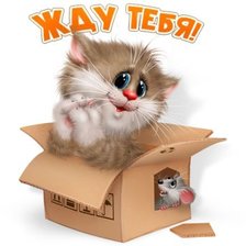 Схема вышивки «Дружба»