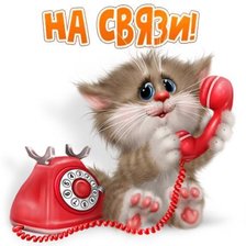 Схема вышивки «Котик с телефоном»