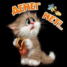 Схема вышивки «Кот и пчела»