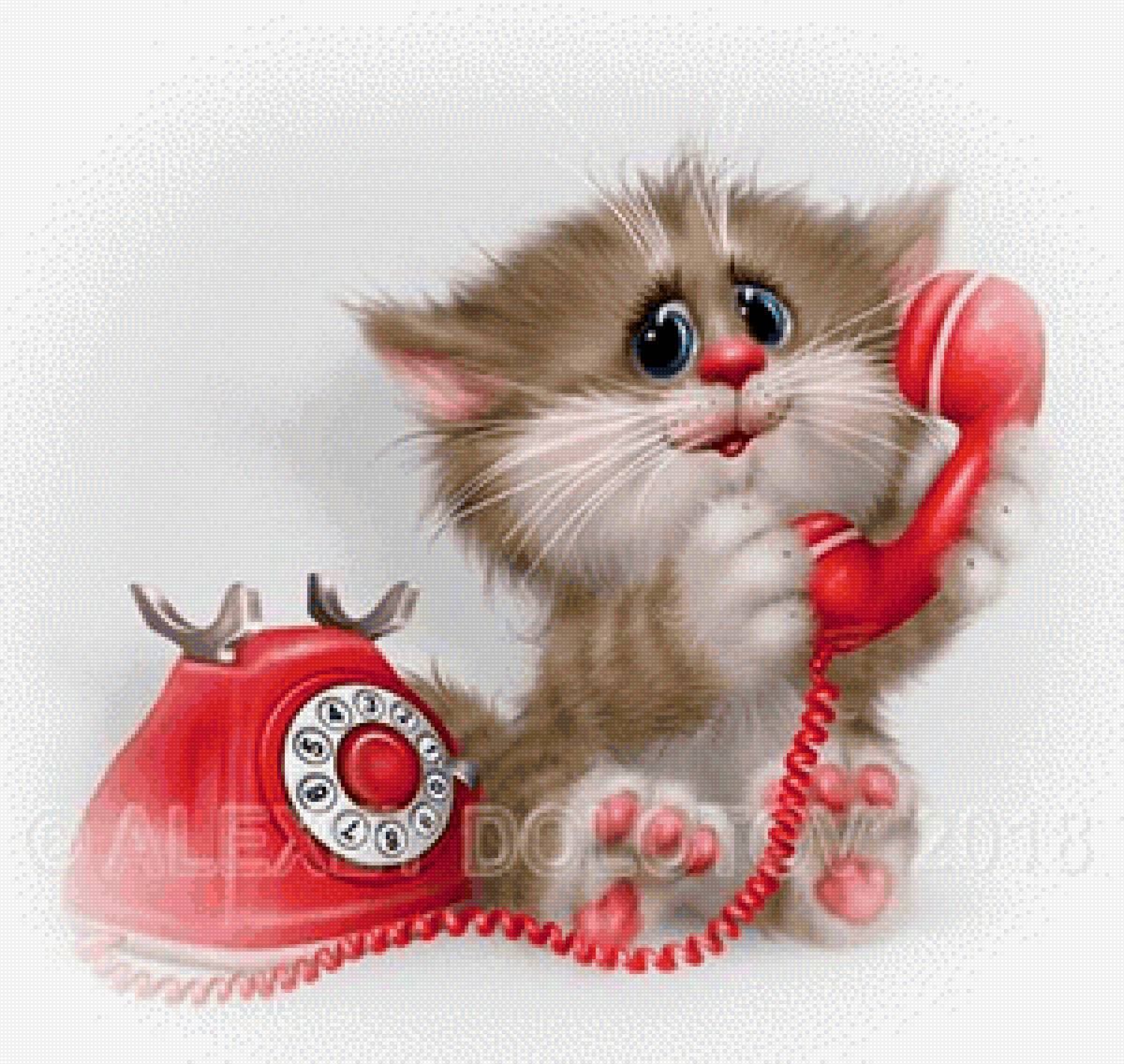 Кот - кот - предпросмотр