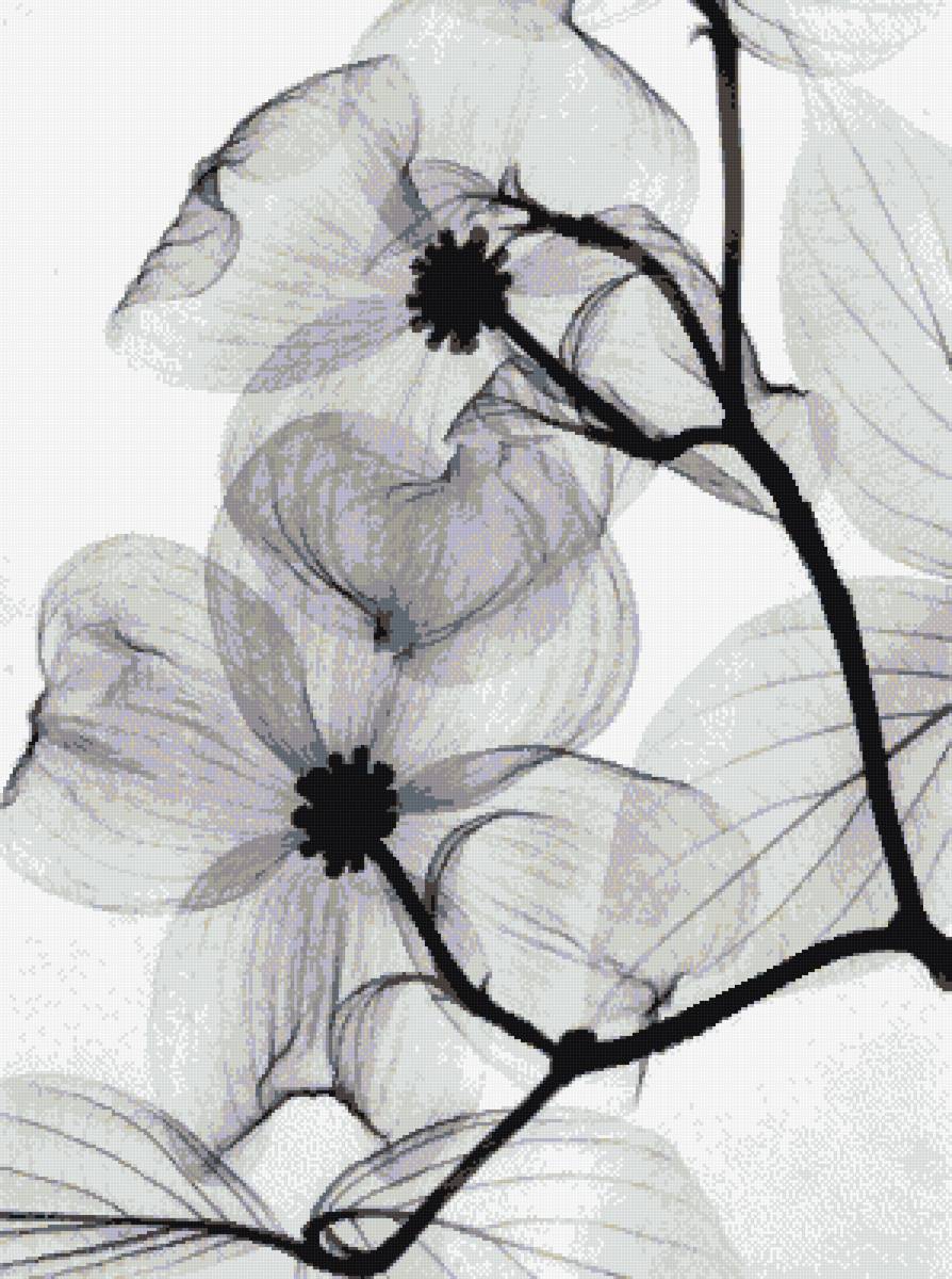 123 - предпросмотр