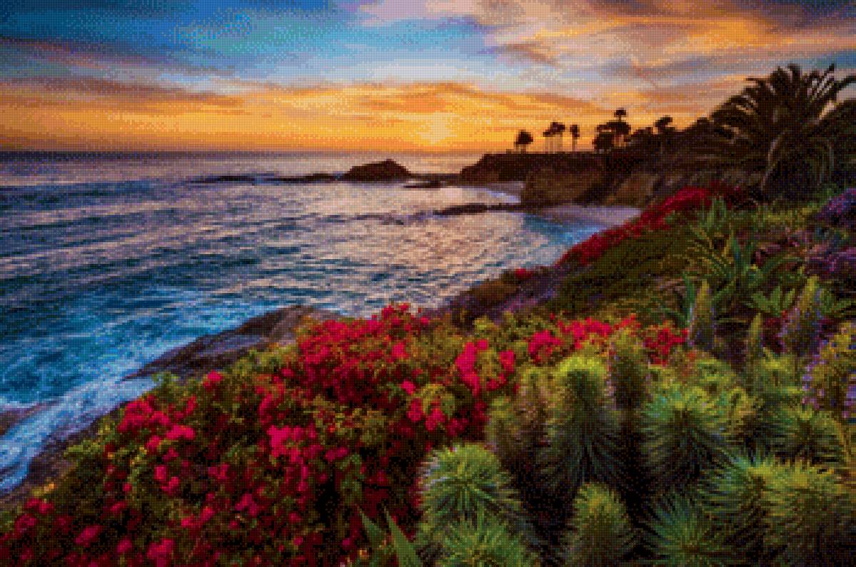 Закат - море, океан закат, цветы - предпросмотр