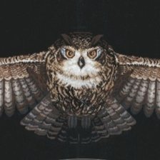 Схема вышивки «Сова»