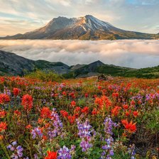 Схема вышивки «Природа»