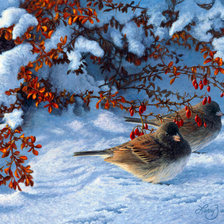 Схема вышивки «№2614606»