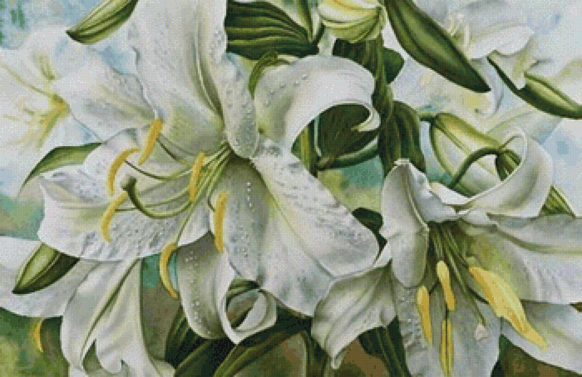 Белые лилии - цветы, лилии - предпросмотр