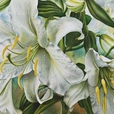 Схема вышивки «Белые лилии»