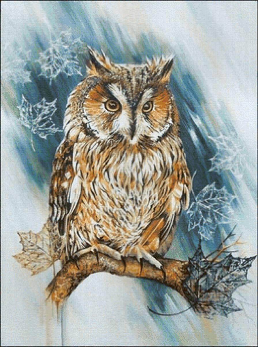 Сова - живопись, птицы, сова - предпросмотр
