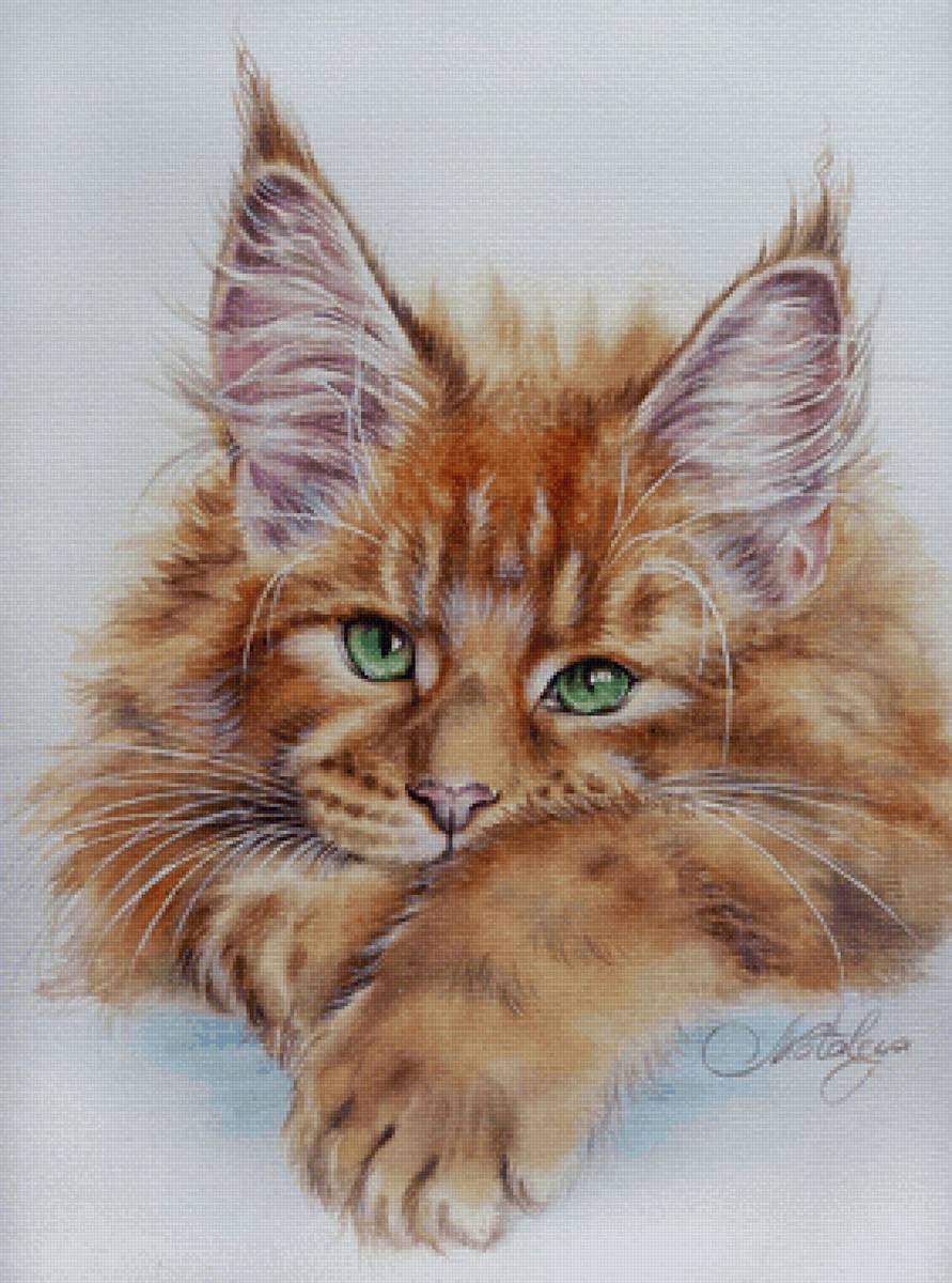 Рыжик - кот 🐱 - предпросмотр