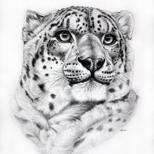 Схема вышивки «№2615159»