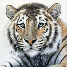 Схема вышивки «№2615162»