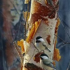 Схема вышивки «№2615166»