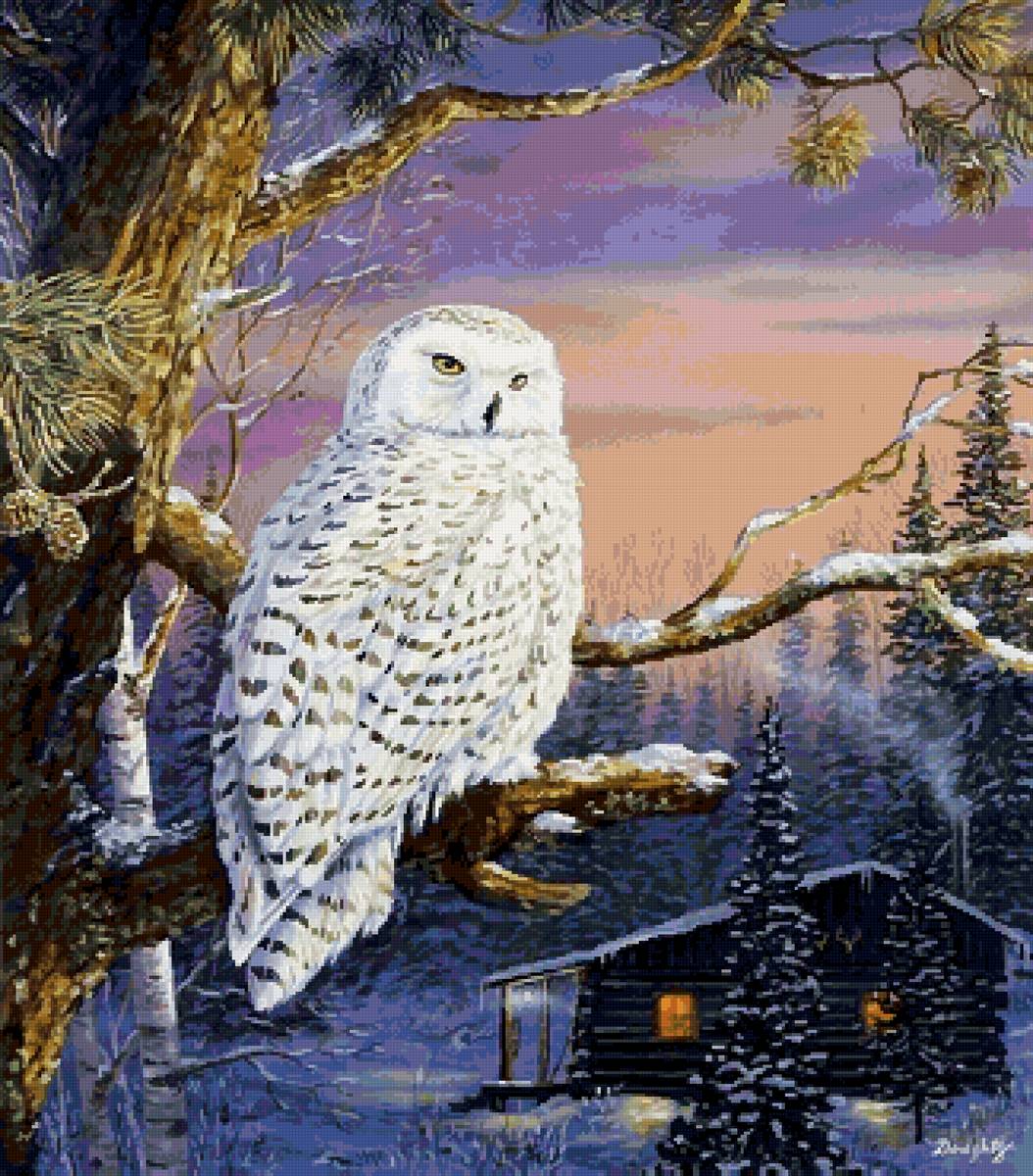 Полярная сова - дом, дерево, лес, ночь, птица, сова - предпросмотр