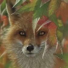 Схема вышивки «Лиса»