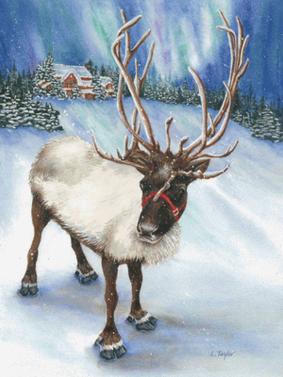 Северный олень - художники - предпросмотр