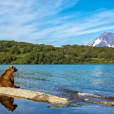 Схема вышивки «Камчатка»