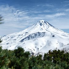 Схема вышивки «Природа»