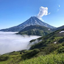 Схема вышивки «Природа»