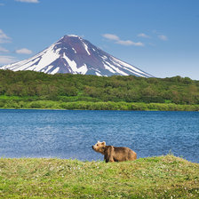 Схема вышивки «Мишка»