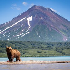 Схема вышивки «Природа»