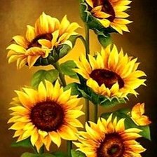 Схема вышивки «Подсолнухи»