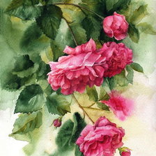 Схема вышивки «акварель и  розы»