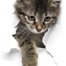 Схема вышивки «№2616079»