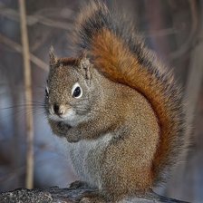 Схема вышивки «№2616089»