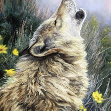 Схема вышивки «Вой охотника. Люсси Билодау»