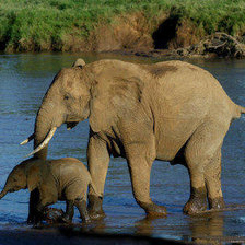 Схема вышивки «№2616313»