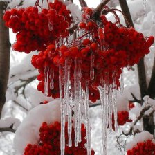 Схема вышивки «№2616364»