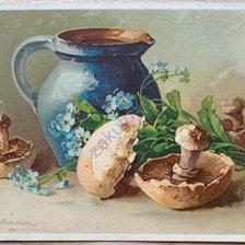 Схема вышивки «Катарина Кляйн, шампиньоны»