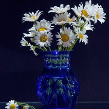 Схема вышивки «Ромашки»