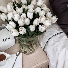 Белые тюльпаны