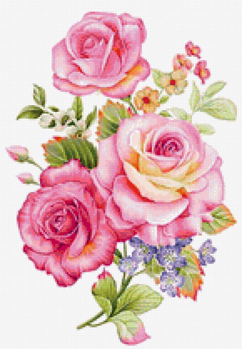 Розы - предпросмотр