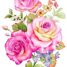 Схема вышивки «Розы»