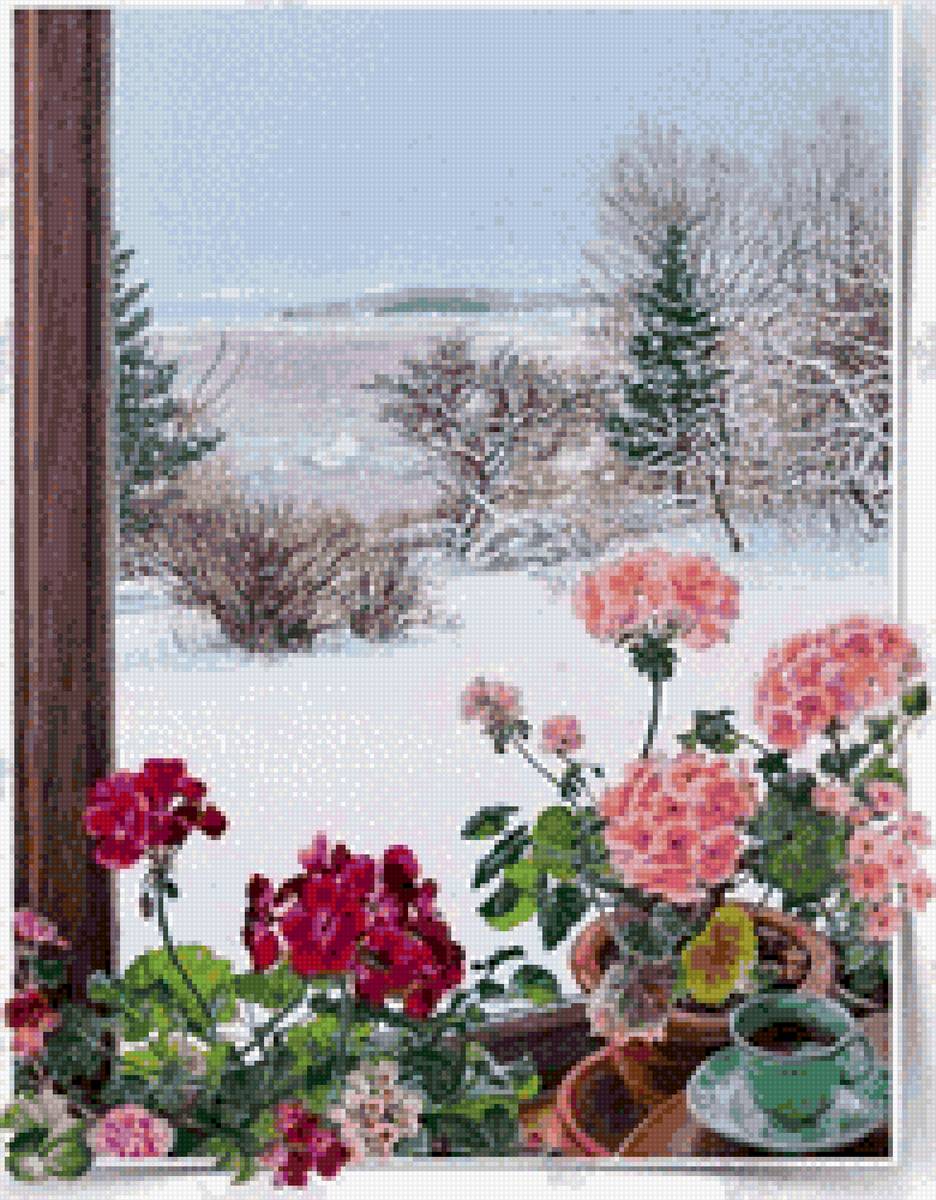 окно - герань, зима, окно - предпросмотр