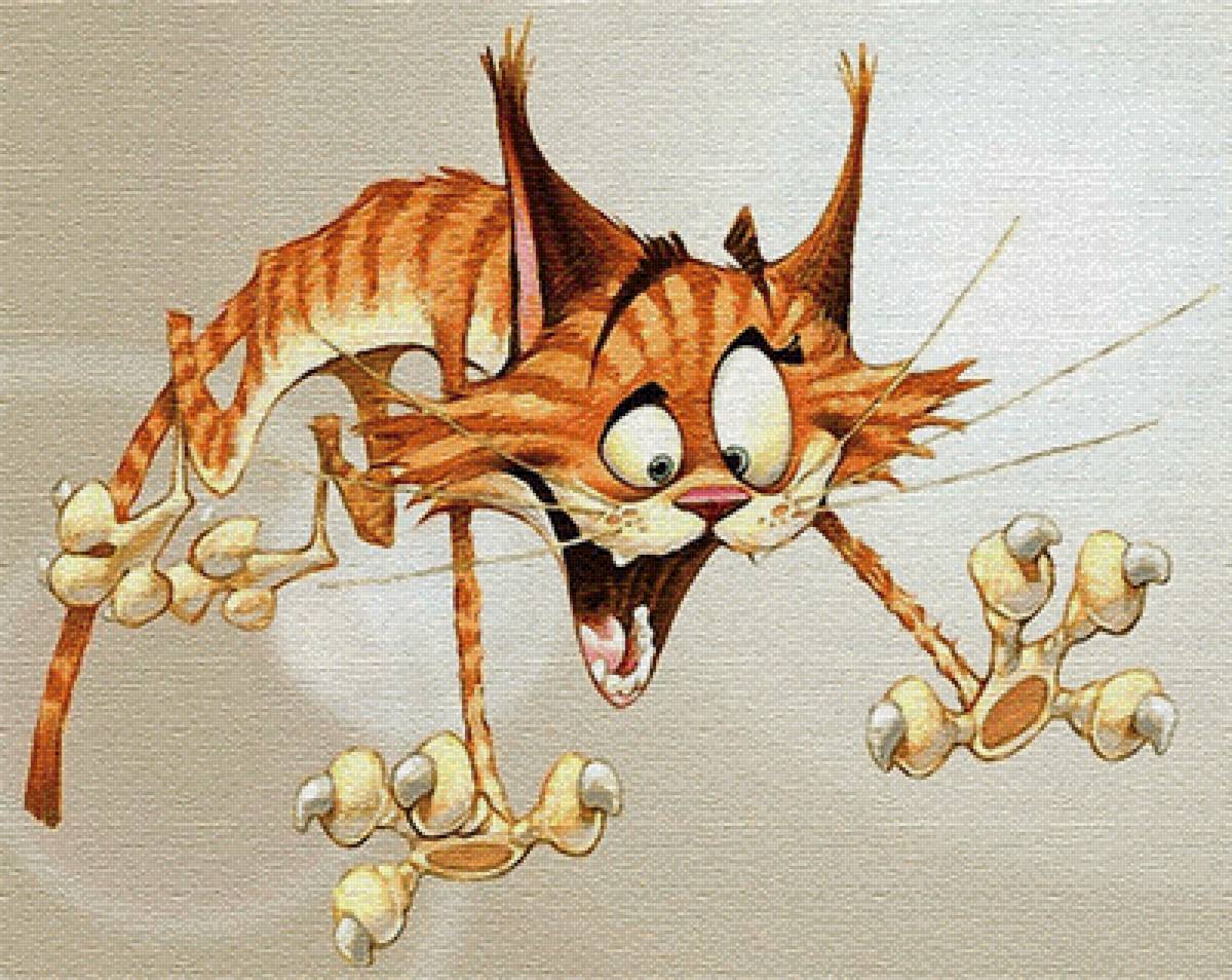 Кот,юмор - предпросмотр